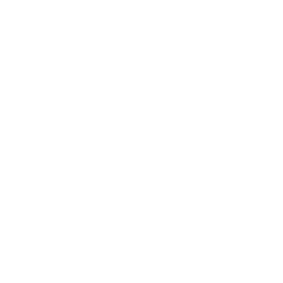 Viter Vie
